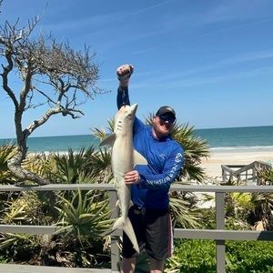 Meet your Posher, Alan